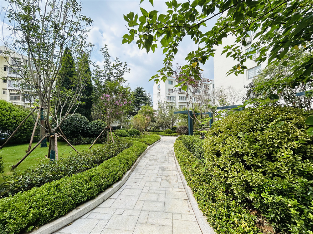 創(chuàng)新模式打造品質(zhì)社區(qū)——青島市永嘉路二片區(qū)老舊小區(qū)改造項(xiàng)目(圖13) 創(chuàng)新模式打造品質(zhì)社區(qū)——青島市永嘉路二片區(qū)老舊小區(qū)改造項(xiàng)目(圖13)